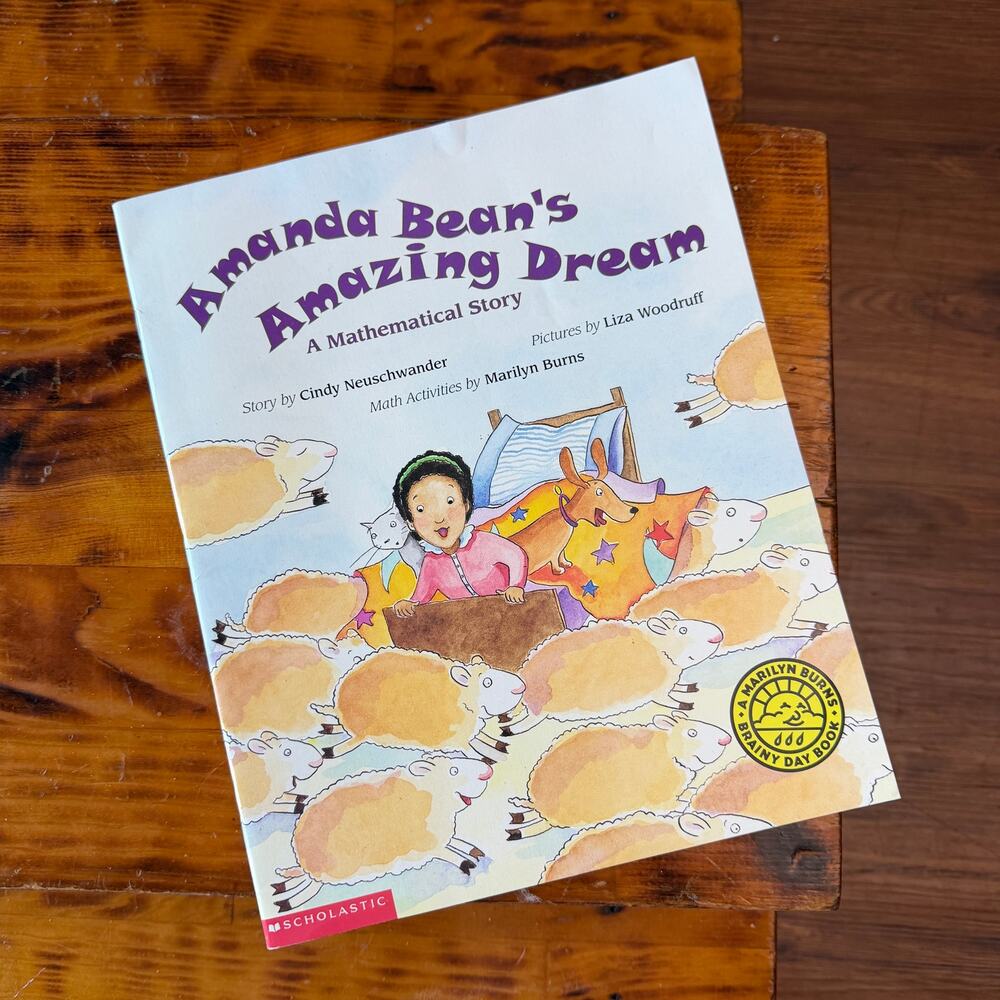 Vintage 1999 Amanda Bean's Amazing Dream A Mathematical Story Paperback Book